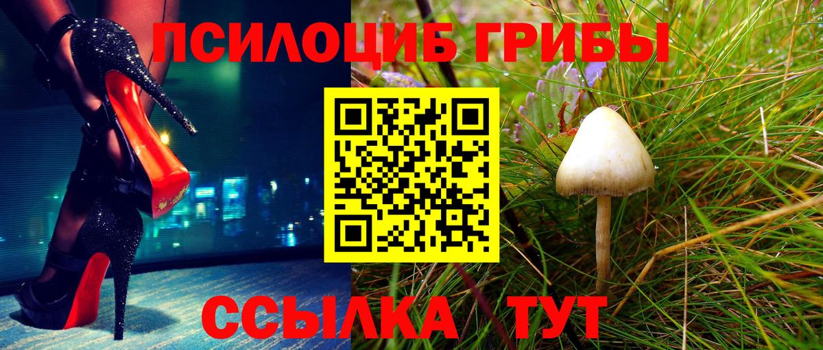 Галлюциногенные грибы Psilocybine cubensis  цены   Геленджик  Галлюциногенные грибы Magic Shrooms  Вход с VPN 